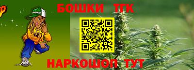 индика Пушкино