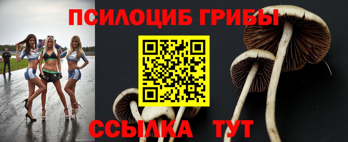 Галлюциногенные грибы GOLDEN TEACHER Ростов Великий